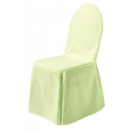 Toolikate Excellent President