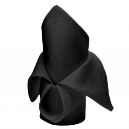 Satineeritud kandiga servjett