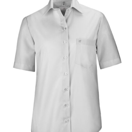 Naiste pluus, helehall