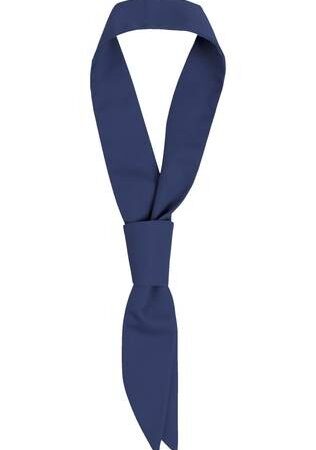 Teenindaja lips, tumesinine